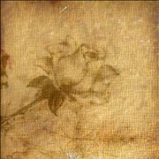 Picture Of Old Pencil Drawing